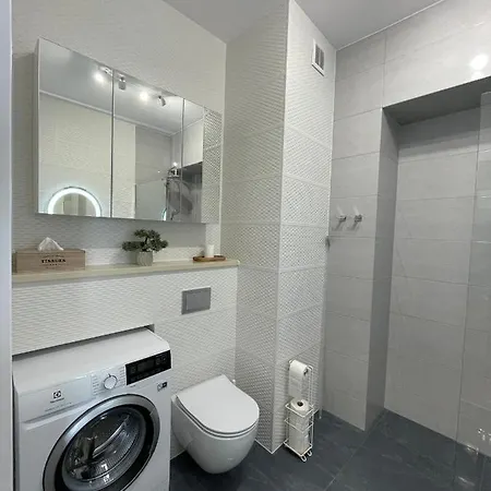 公寓 Fishka House Apartament 扎托尔