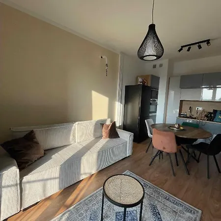 公寓 Fishka House Apartament 扎托尔